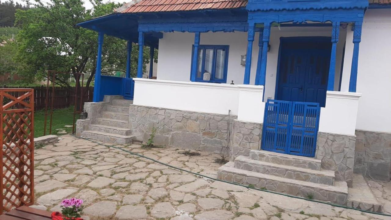 הוילה Schiulesti Casa De Vacanta Traditionala Romaneasca מראה חיצוני תמונה